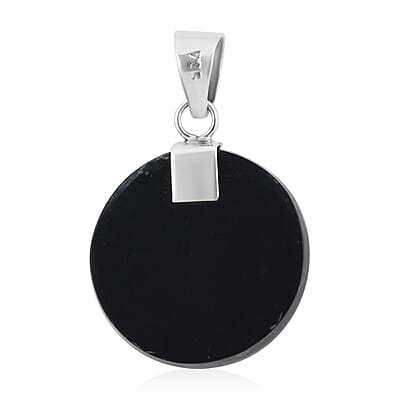 Abalone Shell Turtle Pendant in Sterling Silver