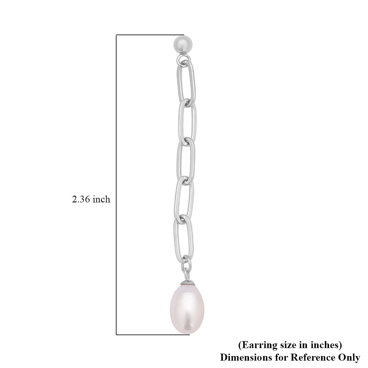 White Freshwater Pearl Paper Clip Chain Drop Earrings in Stainless Steel