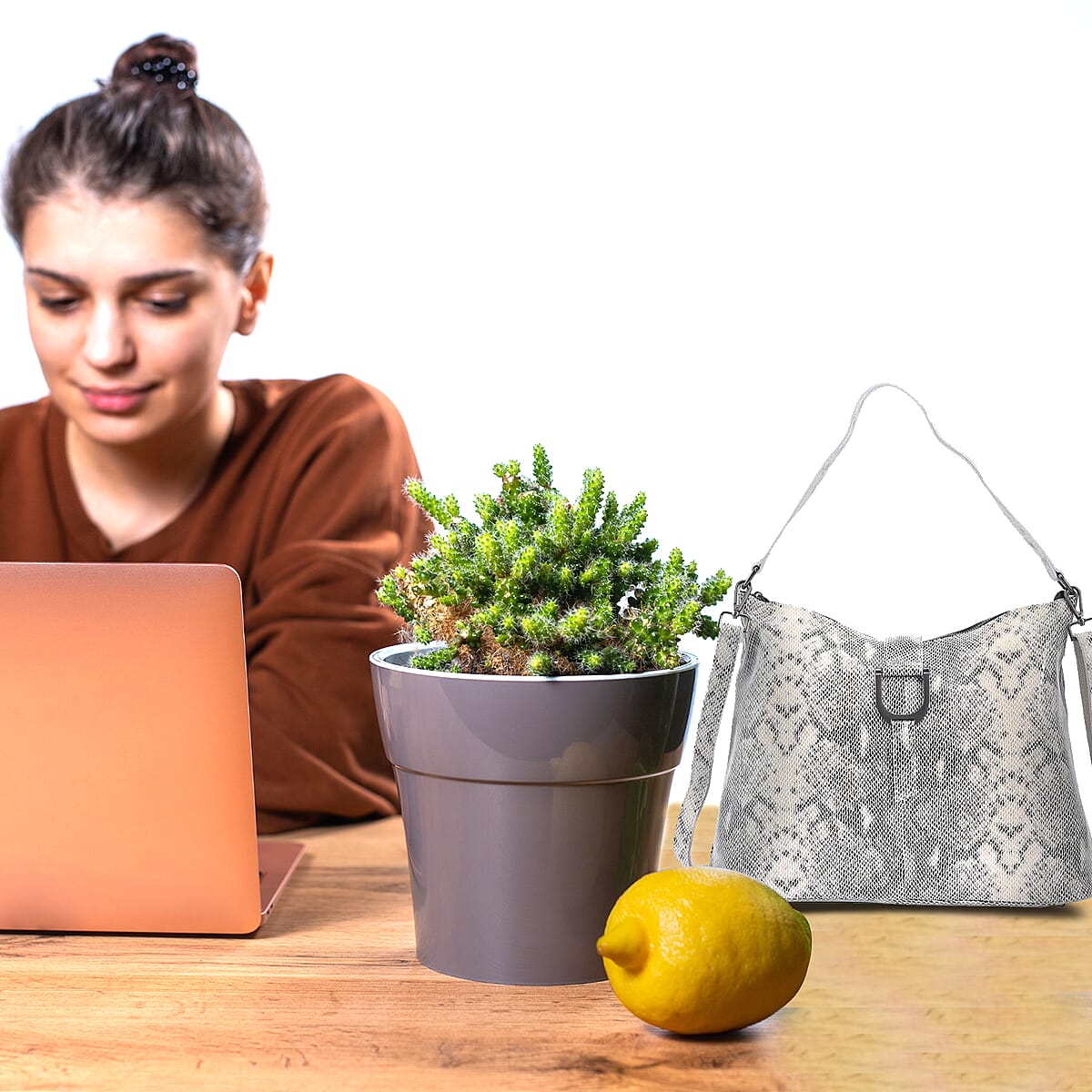 Gray Snake Print Genuine Leather Hobo Bag with Detachable Shoulder Strap image number 2