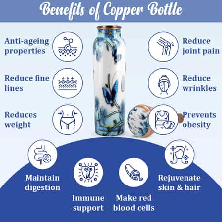Buy Homesmart Light Blue Butterfly Printed Solid Copper Bottle with  Shungite and Copper Infuser 33.81 oz, Copper Water Bottle, Infused Bottle, Infuser  Water Bottle, Water Infuser at ShopLC.