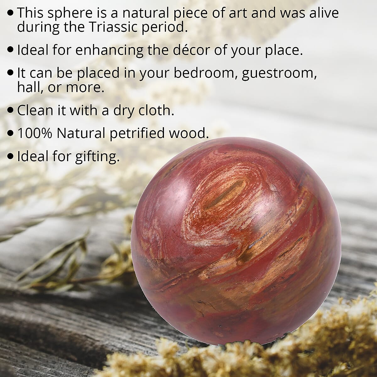 Wooden Home Decor Petrified Wood Sphere- L (Approx 2894 ctw) image number 1