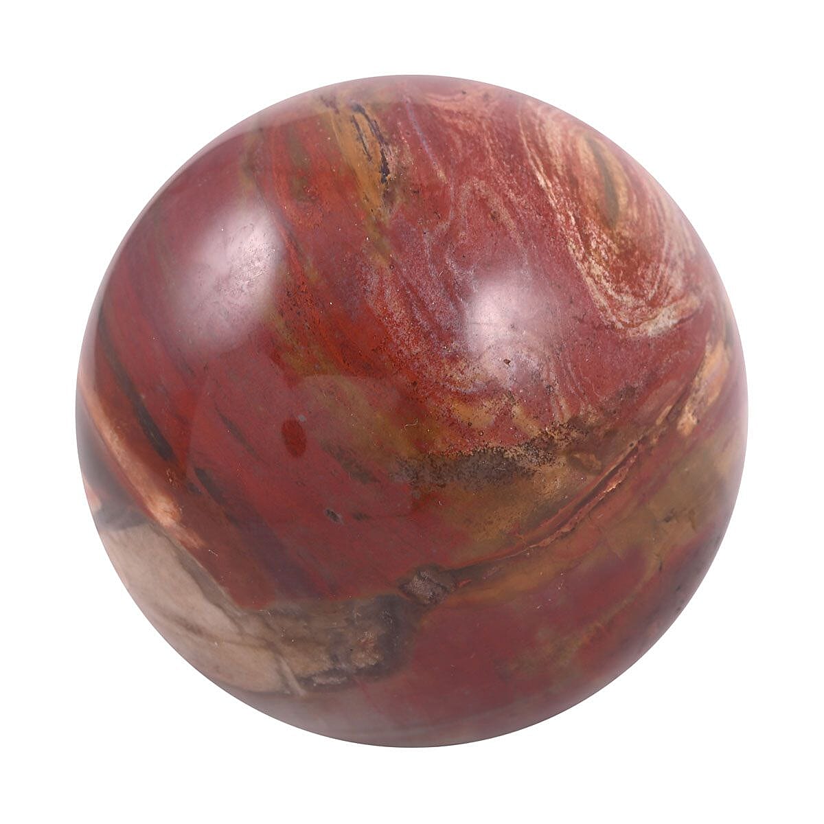 Wooden Home Decor Petrified Wood Sphere- L (Approx 2894 ctw) image number 2