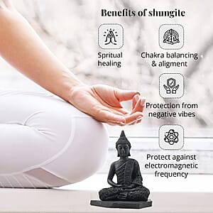 Shungite Buddha Figurine -L 8 Approx. 6980 ctw