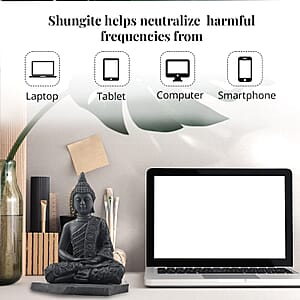 Shungite Buddha Figurine -L 8 Approx. 6980 ctw