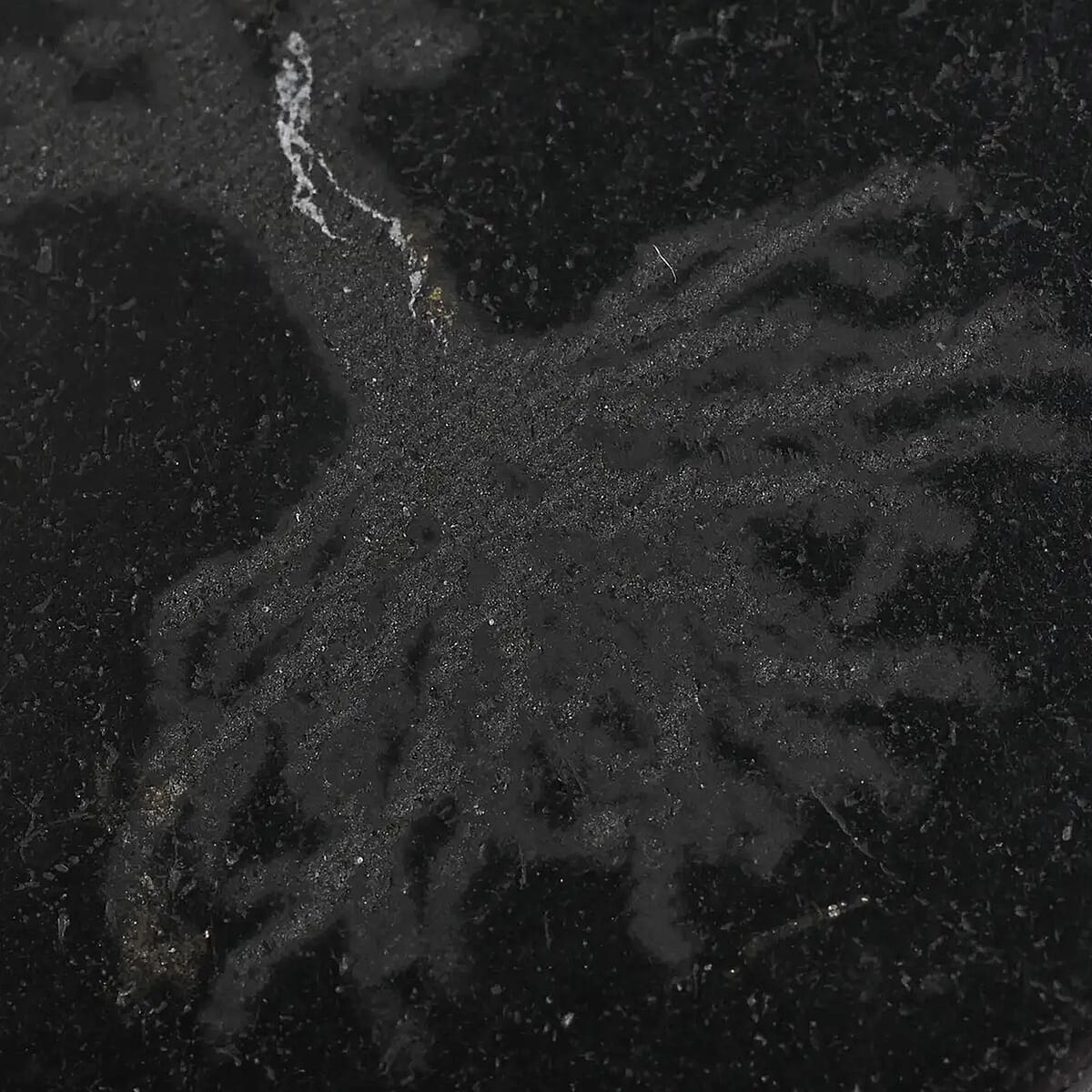 Shungite Tree of Life Engraved Round Cellphone Tile, Decorative Black Mineral Tile for Mobile Phones 1.25 Approx. 35ctw image number 5