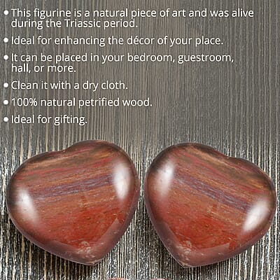 Petrified Wood Heart -S 30-40mm (Approx. 100 ctw)