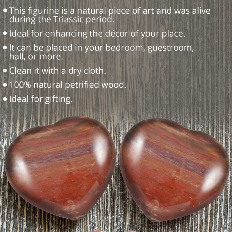 Petrified Wood Heart -S 30-40mm (Approx. 100 ctw)