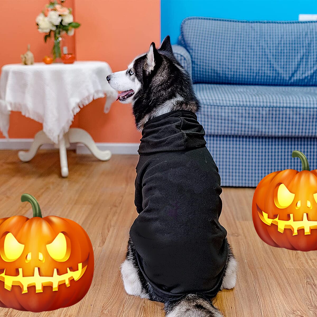 Halloween - Black Skeleton Pet Costume Deluxe Polyester | Halloween Pet Costume | Scary Costume image number 1