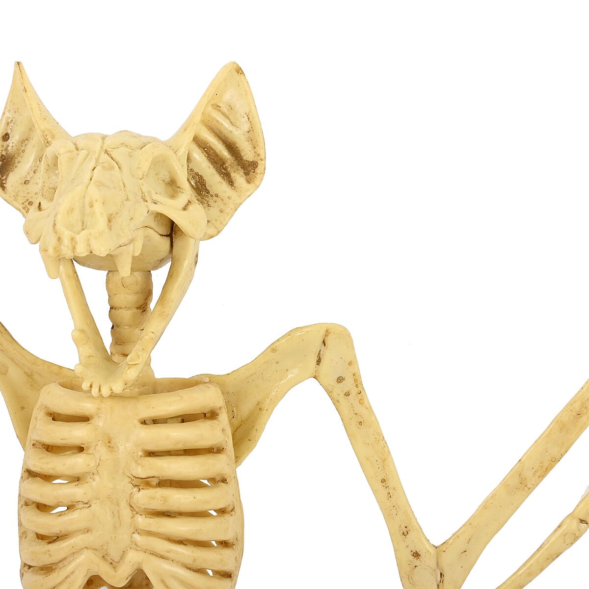 Halloween-&nbsp;Plastic Hanging Bat Skeleton image number 2