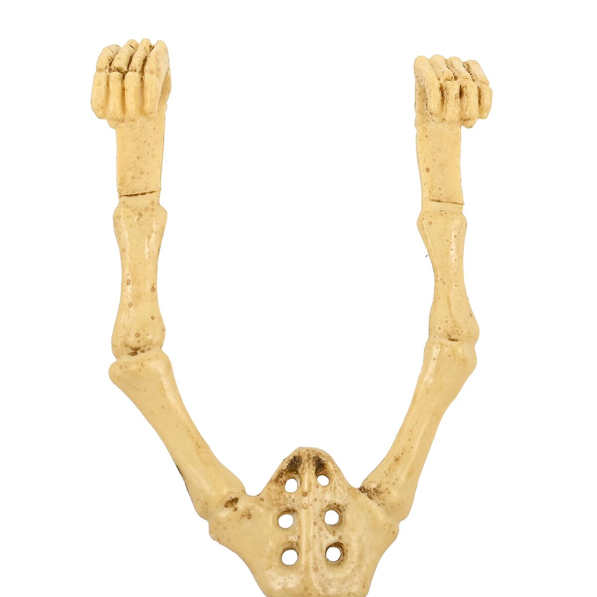 Halloween-&nbsp;Plastic Hanging Bat Skeleton image number 3