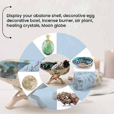 4 inches - Product card gallery slide 4 (10176885883193)