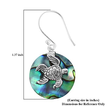 Abalone Shell - Product card gallery slide 4 (10176889225529)