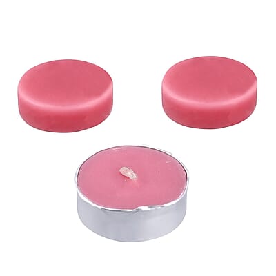 Frosted Pink Peacock Print Ceramic Wax Tart Burner Set