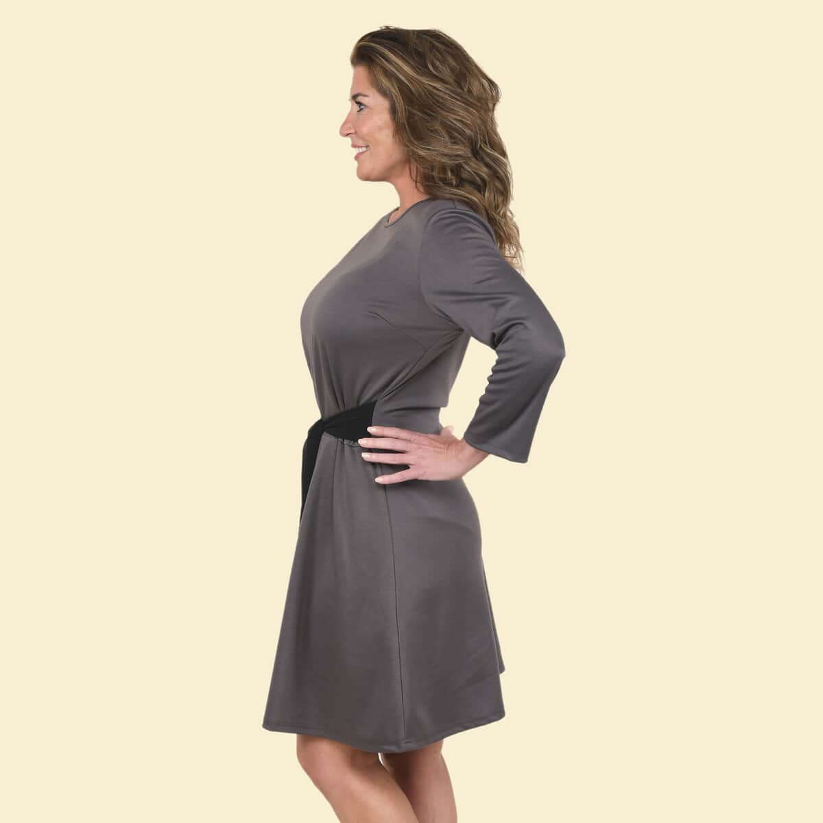 Tamsy Gray Solid Midi Drop-waist Long Sleeve Dress - Medium image number 2