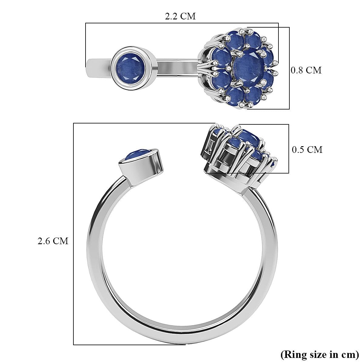 Masoala Sapphire (D) September Birthstone Anxiety Spinner Openable Band Adjustable Ring in Platinum Over Sterling Silver (Size 6.0) 1.10 ctw image number 6
