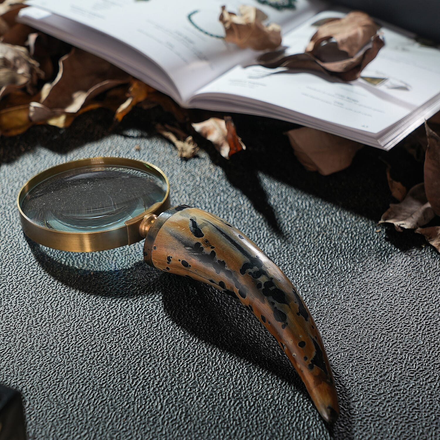Natural & Black Handcrafted 3X Magnifying Glass Antic Gold Ring with Buffalo Horn Handle