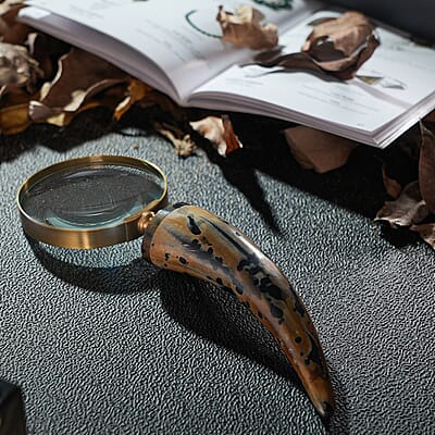 Natural & Black Handcrafted 3X Magnifying Glass Antic Gold Ring with Buffalo Horn Handle