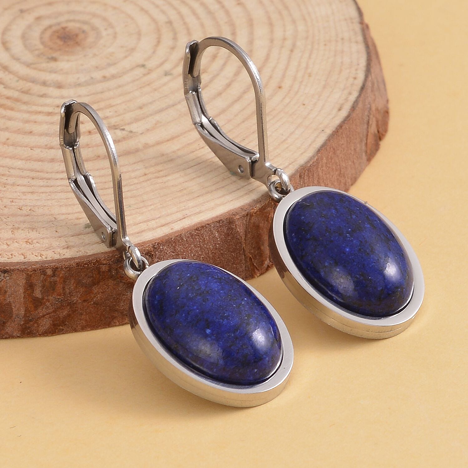 Lapis Lazuli Lever Back Earrings in Stainless Steel 10.00 ctw