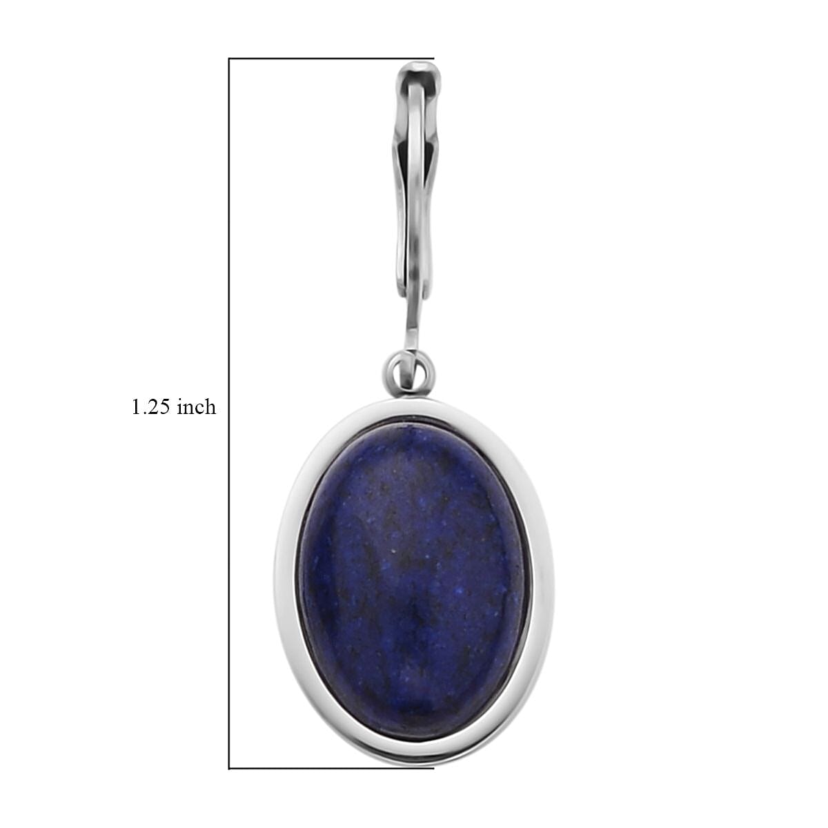 Lapis Lazuli Lever Back Earrings in Stainless Steel 10.00 ctw