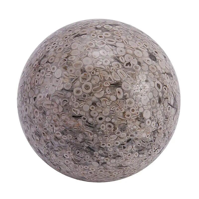 Fossil Sphere 80mm (Approx 4350 ctw)