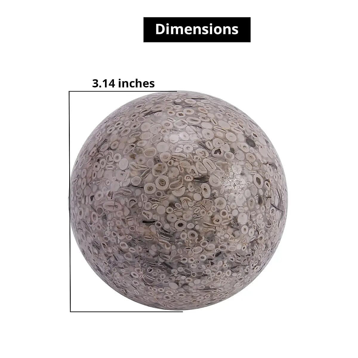 Fossil Sphere 80mm (Approx 4350 ctw) image number 3