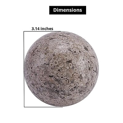 Fossil Sphere 80mm (Approx 4350 ctw)
