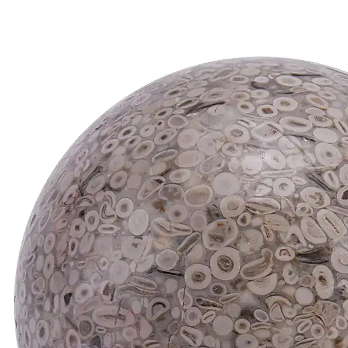 Fossil Sphere 80mm (Approx 4350 ctw) image number 4