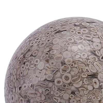 Fossil Sphere 80mm (Approx 4350 ctw)