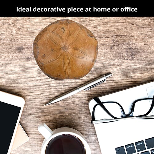 Default Title - Product card gallery slide 3 (9431446618367)