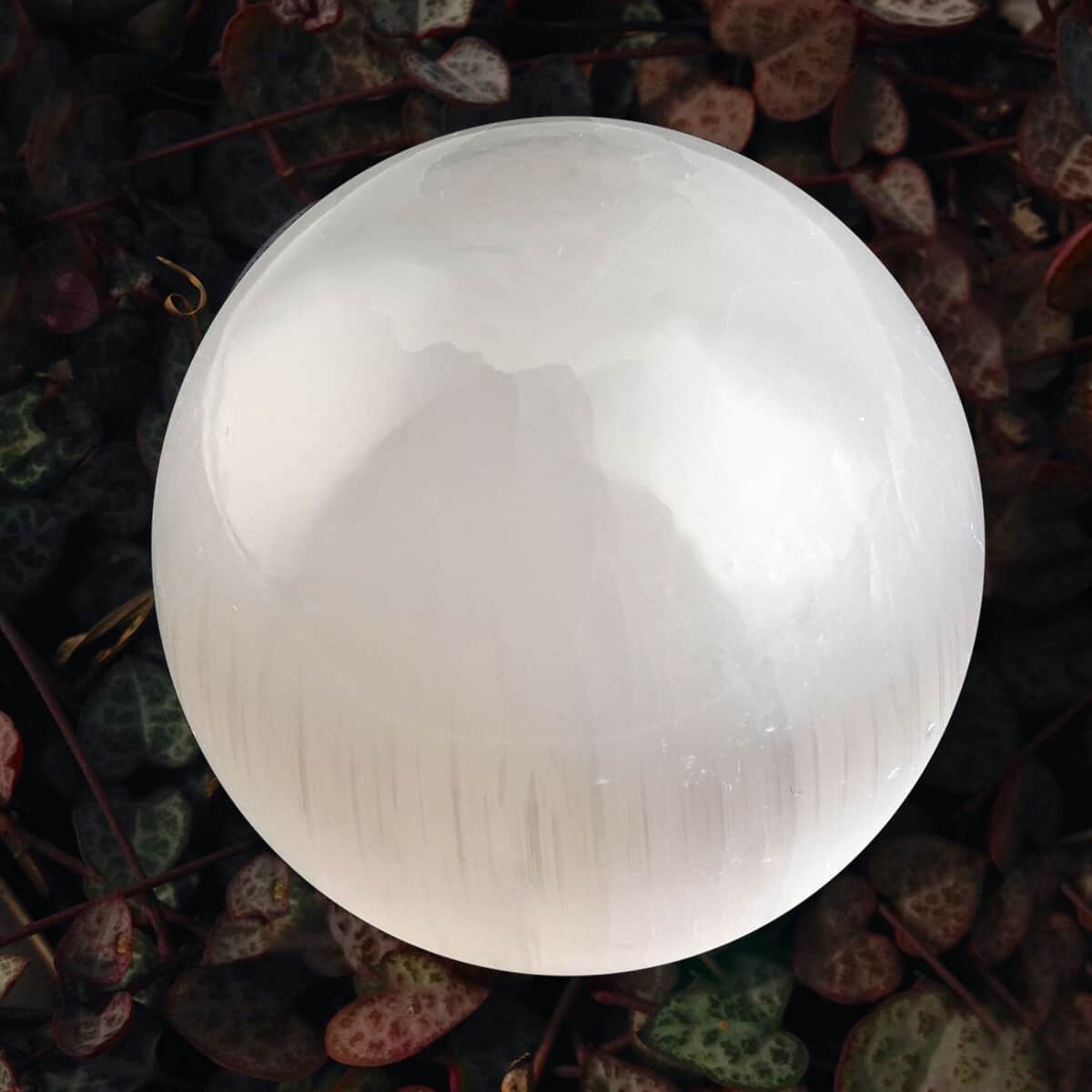 Selenite Sphere 40mm - S (Approx 390 ctw) image number 1