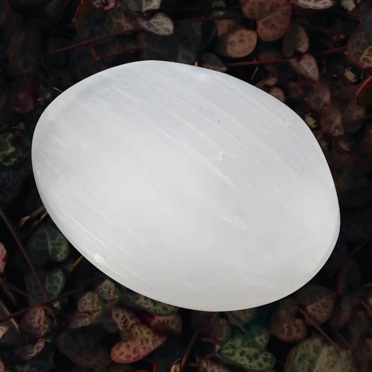 Selenite Palm Stone - M (Approx 515ctw) image number 3