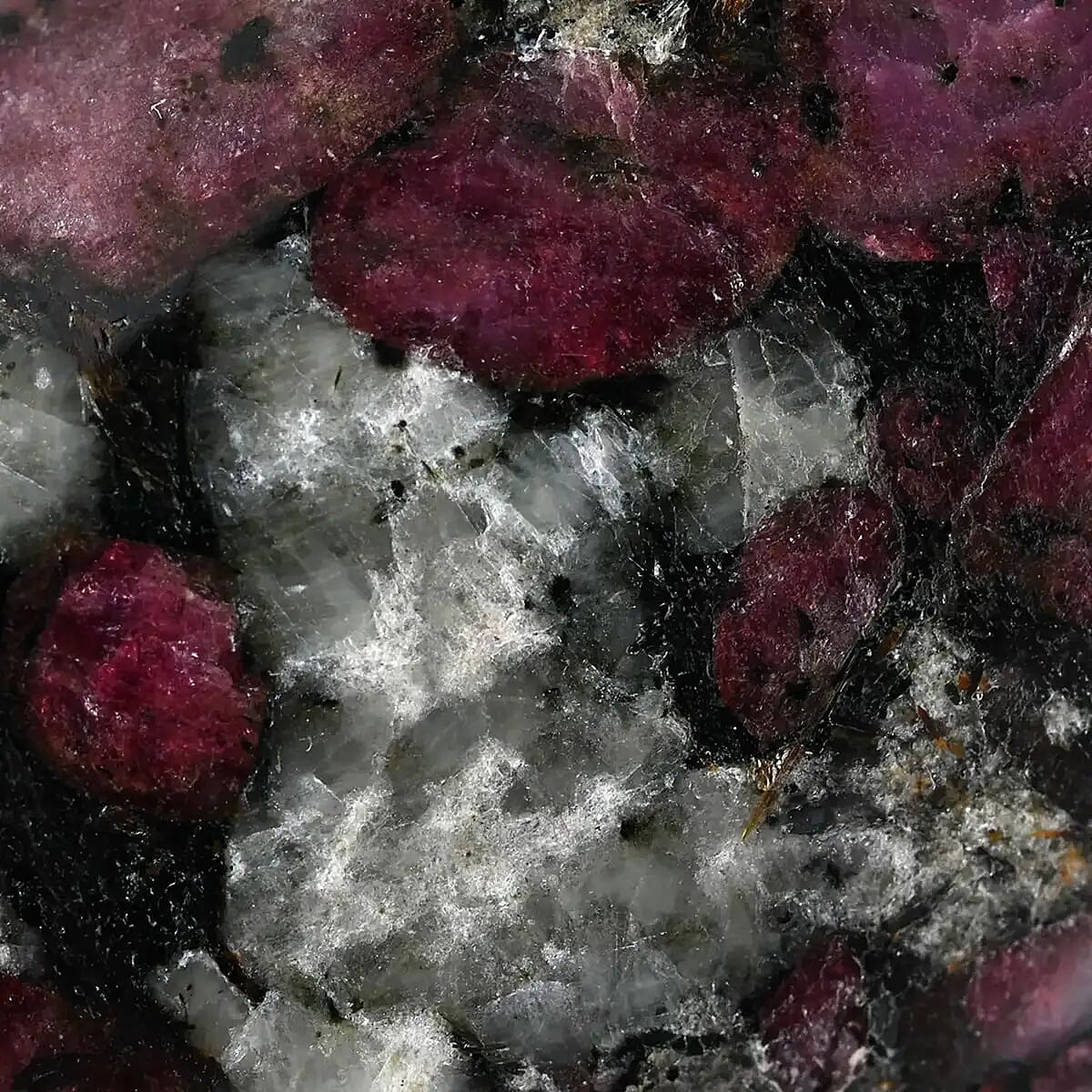 Eudialyte Palm Stone - M (Approx 105 ctw)