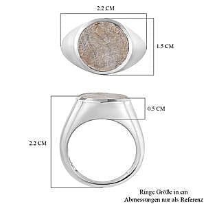 Meteorite 12.70 ctw Ring in Platinum Over Sterling Silver (Size 9)