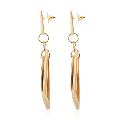 Ox Bone Dangle Earrings in Goldtone