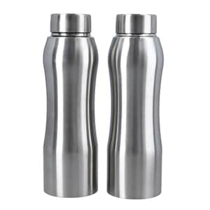 Homesmart Set of 2 Stainless Steel Belly Bottle -Silver (33.8 oz)