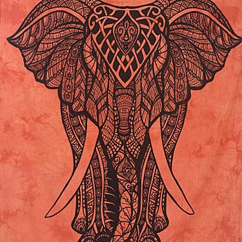 Orange Elephant - Product card gallery slide 4 (10176933790009)