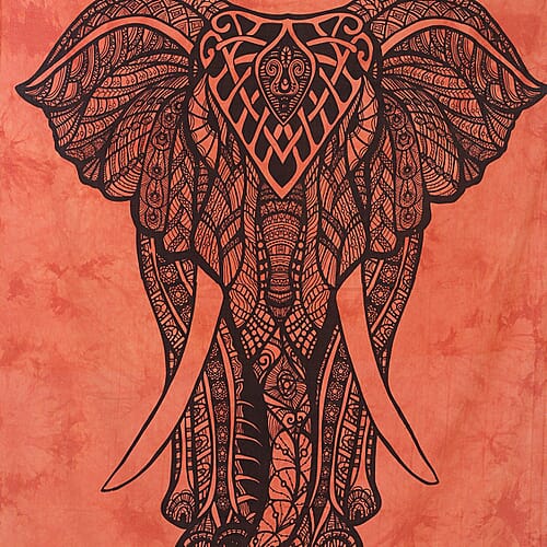 Orange Elephant - Product card gallery slide 4 (9431496556799)