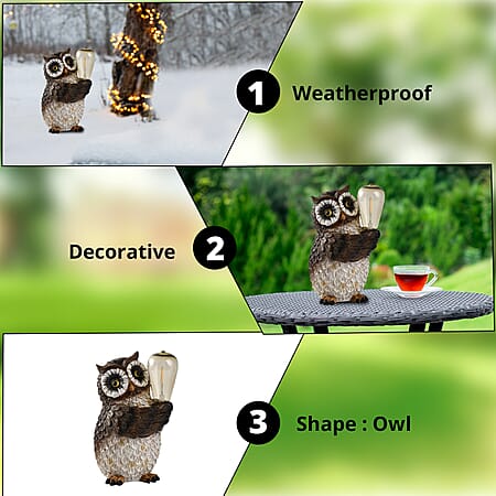 Owl - Product card gallery slide 4 (10176942768441)