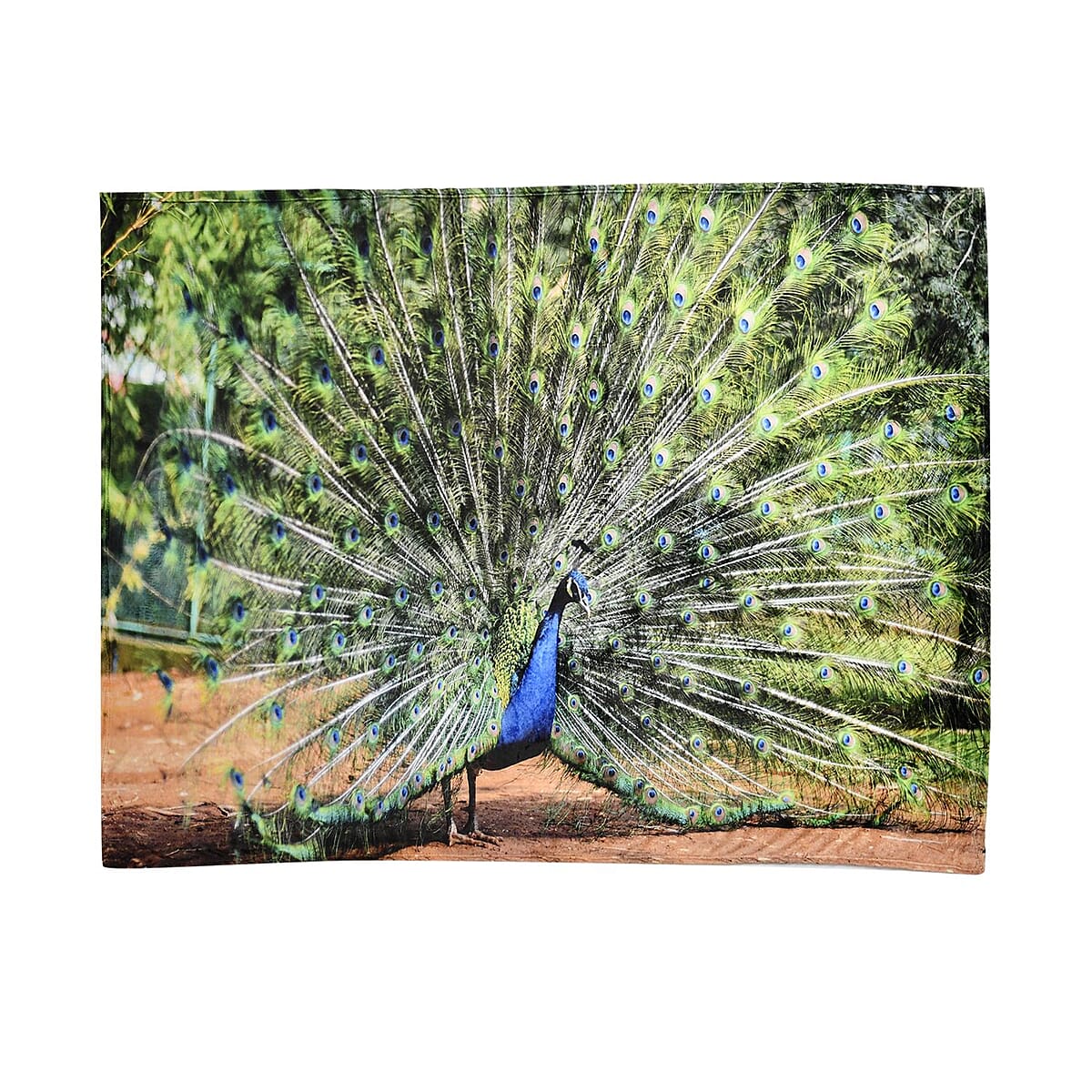 Homesmart Green Peacock Digital Print Pattern Flannel Blanket image number 1