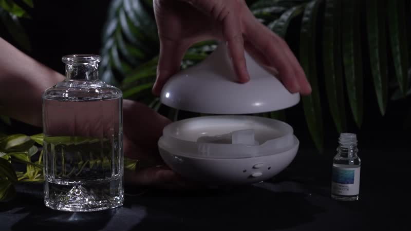 7 Color Light Humidifier With 10 Essential Oil