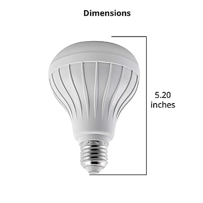 White RGB LED Music Bulb with Wireless Speaker with Remote Control