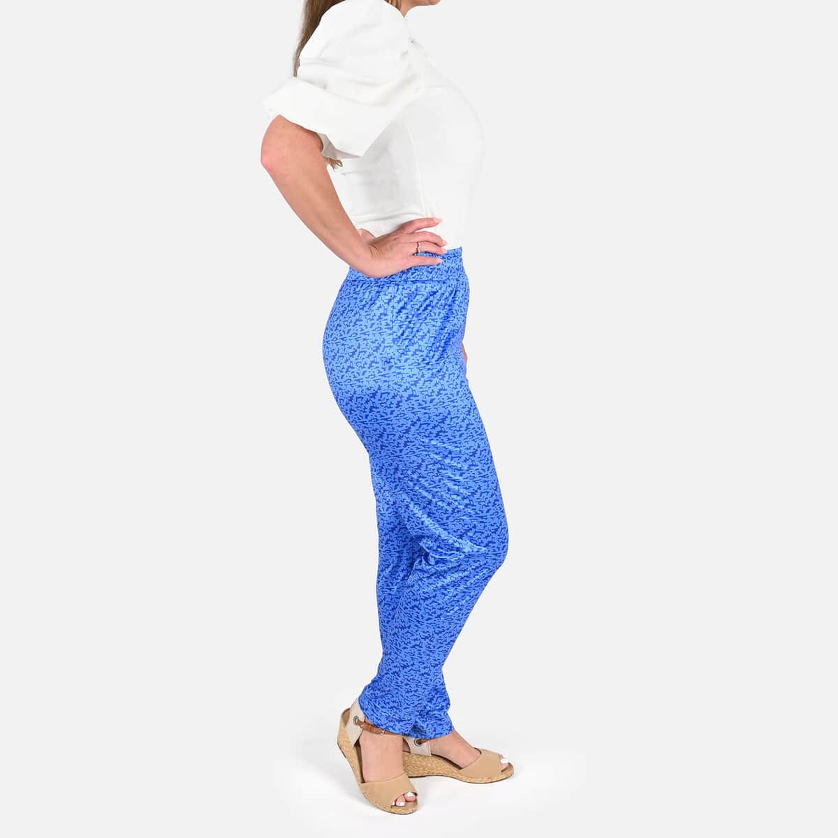 TAMSY Blue Color Pant - L image number 2