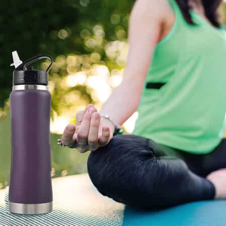 Buy Bebida 25oz Stainless Steel Double Wall Sports Bottle -Teal