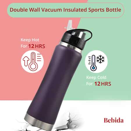 Buy Bebida 25oz Stainless Steel Double Wall Sports Bottle -Purple