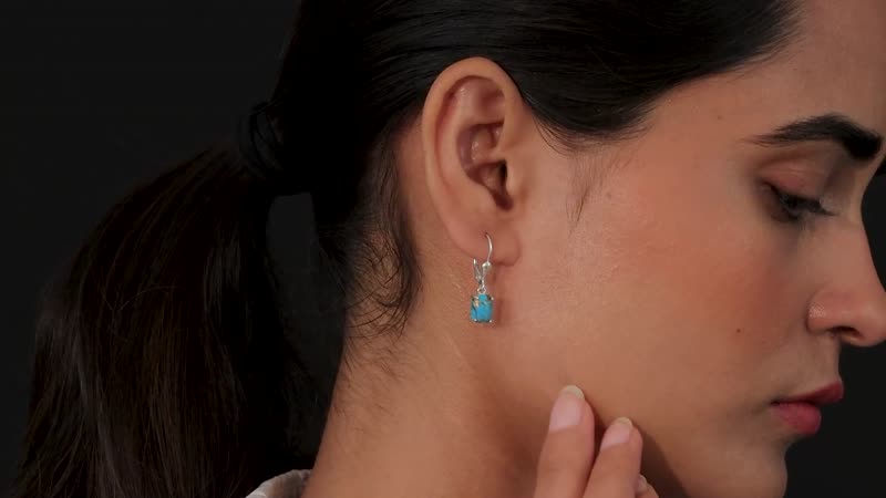 D'Joy Matrix Chestnut Brine Turquoise 3.15 ctw Earrings in Sterling Silver