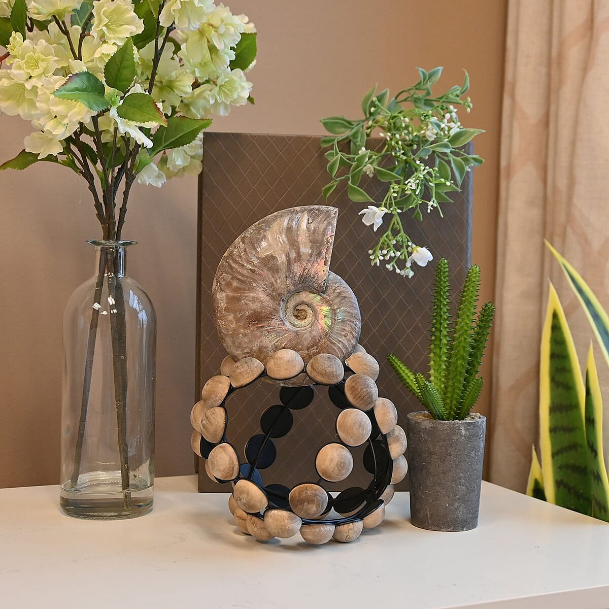 Iridescent Ammonite Approx. 2750ctw image number 1