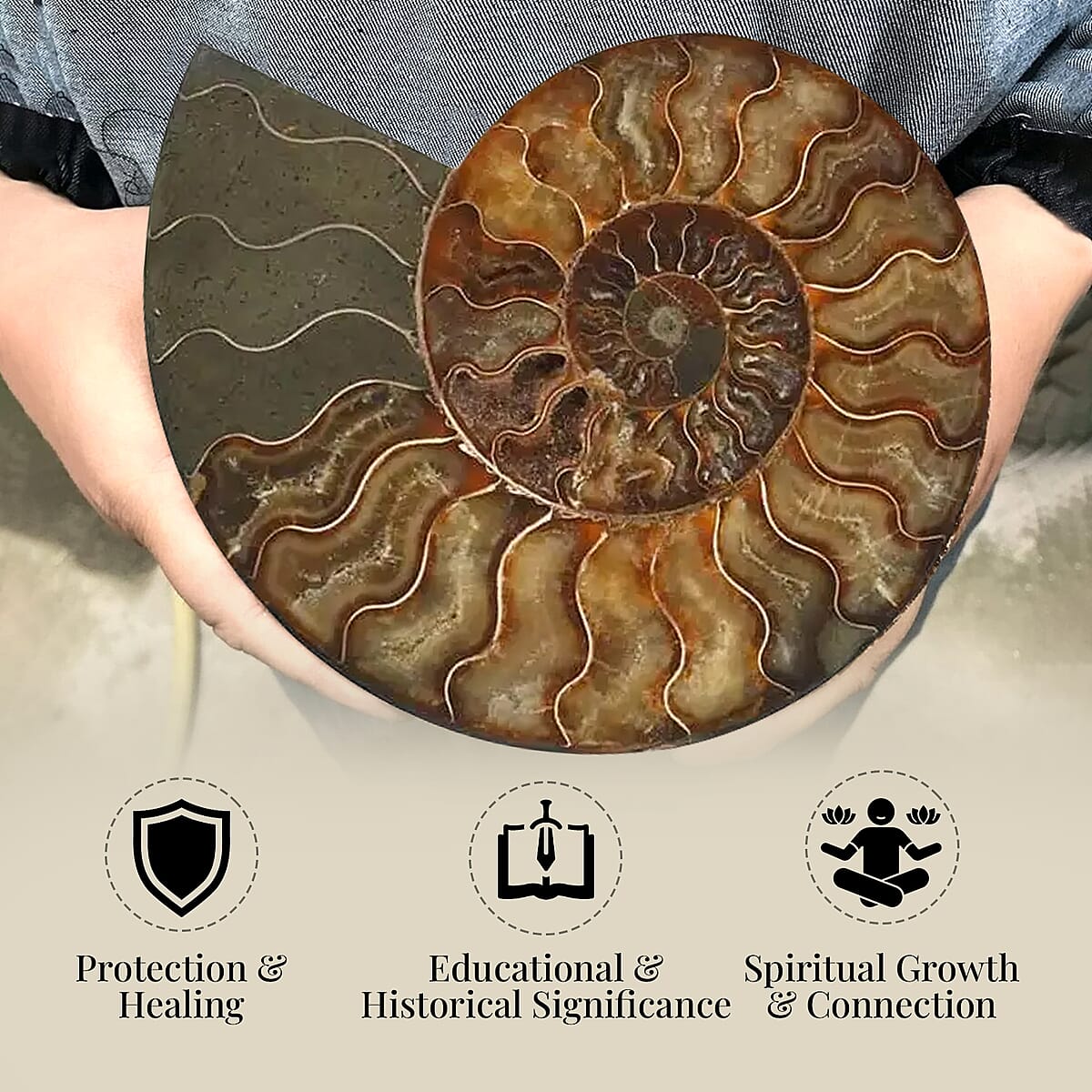 Ammonite Pair Approx. 6400ctw image number 1