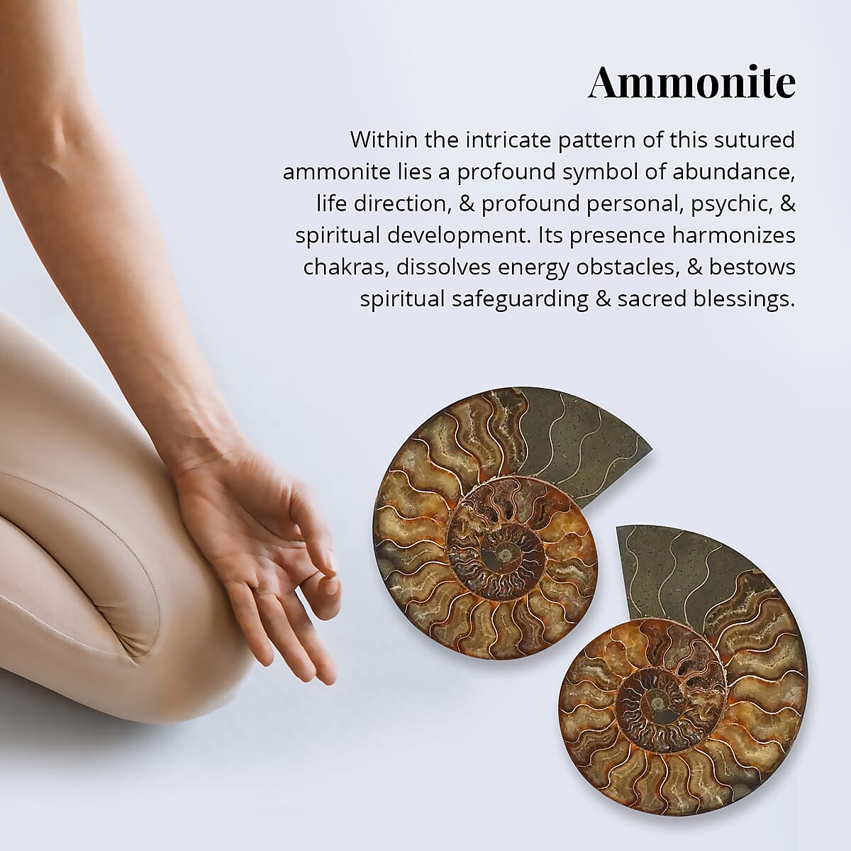 Ammonite Pair Approx. 6400ctw image number 2