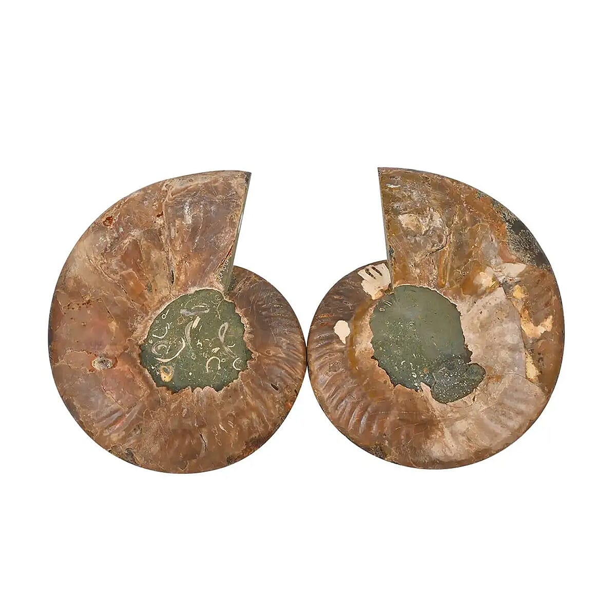 Ammonite Pair Approx. 6400ctw image number 4