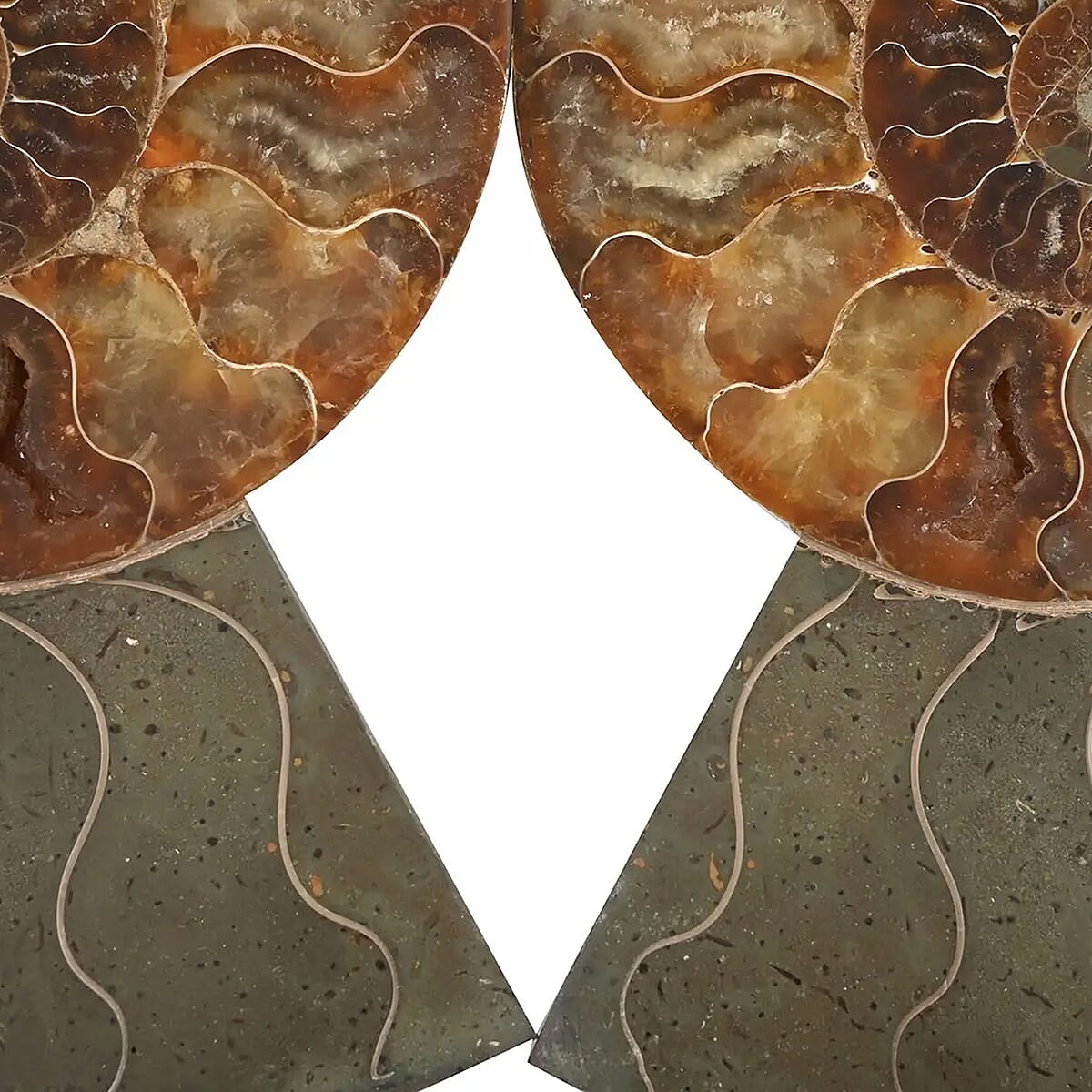 Ammonite Pair Approx. 6400ctw image number 7